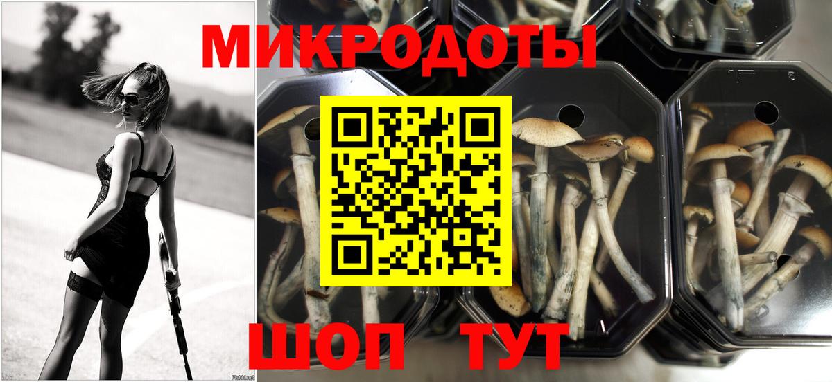 Псилоцибиновые грибы прущие грибы  Галлюциногенные грибы Psilocybe  Вход с VPN  Лабытнанги 